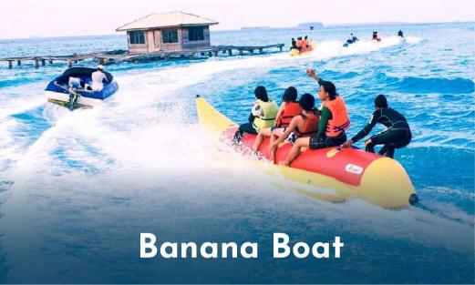 Activity 3